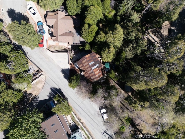 795 Glen View Ln, Twin Peaks, CA 92391 - view of property location