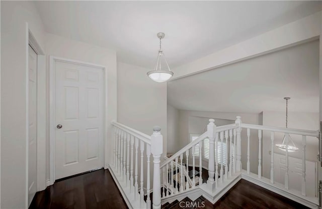 staircase with wood finished floors