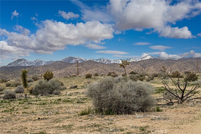 4444 Sagebrush, Pioneertown, CA 92268 - photo 5