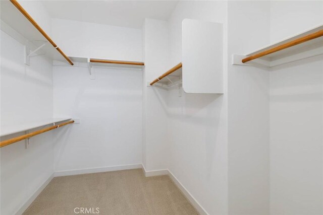 73 Culture, Irvine, CA 92618 - walk in closet with light colored carpet