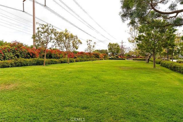 15561 Jasmine Pl, Tustin, CA 92782 - view of grassy yard