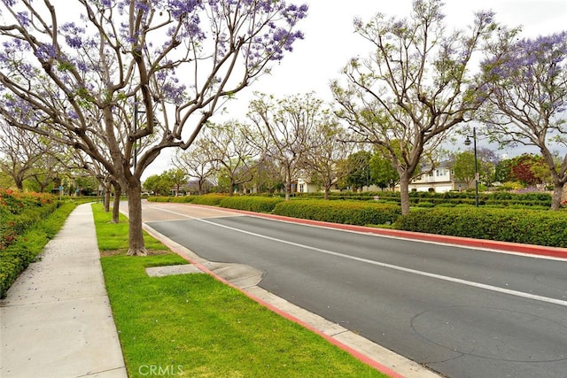 15561 Jasmine Pl, Tustin, CA 92782 - view of asphalt street featuring street lights and curbs
