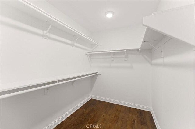 20304 Estuary Ln, Newport Beach, CA 92660 - walk in closet with dark wood-style floors