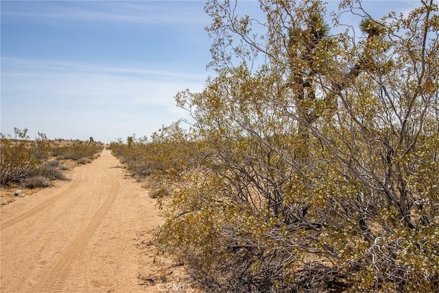 4444 Cielito Dr, Joshua Tree, CA 92252