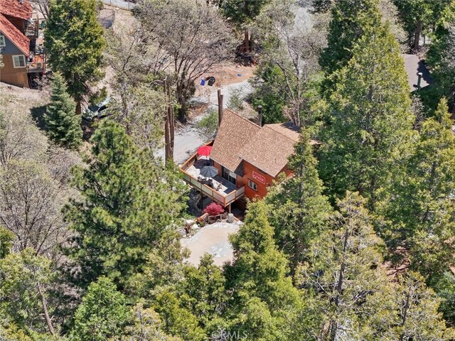 385 Iris Dr, Twin Peaks, CA 92391 - view of subject property