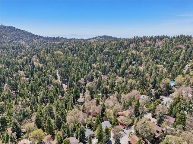 385 Iris Dr, Twin Peaks, CA 92391 - bird's eye view of a forest