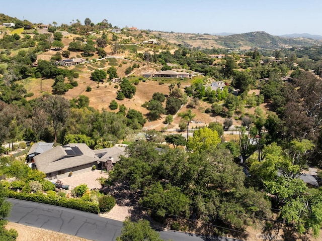 2923 Canonita Dr, Fallbrook, CA 92028 - photo 61