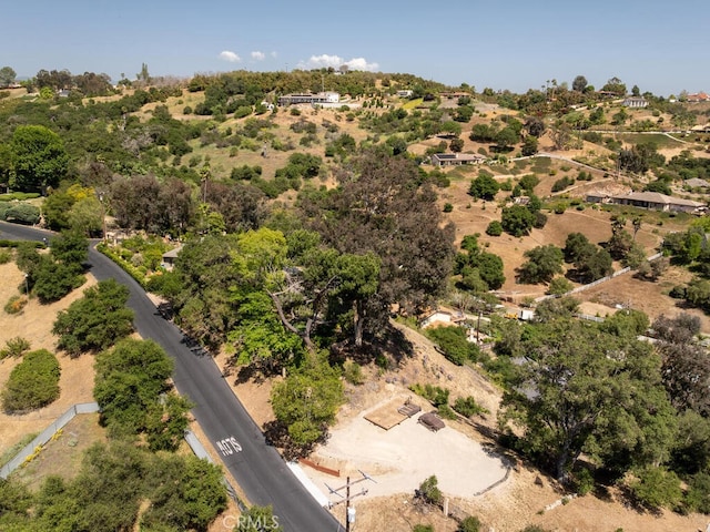 2923 Canonita Dr, Fallbrook, CA 92028 - photo 63