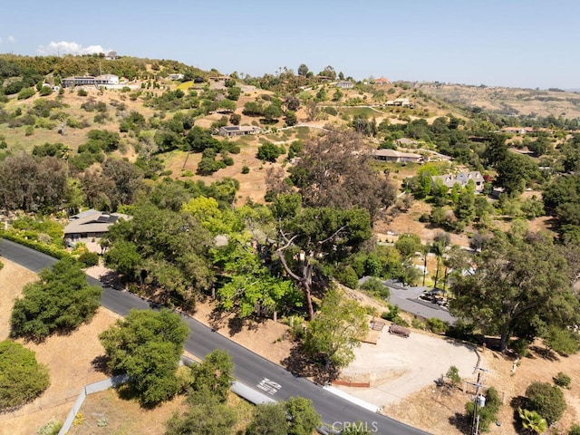 2923 Canonita Dr, Fallbrook, CA 92028 - photo 62