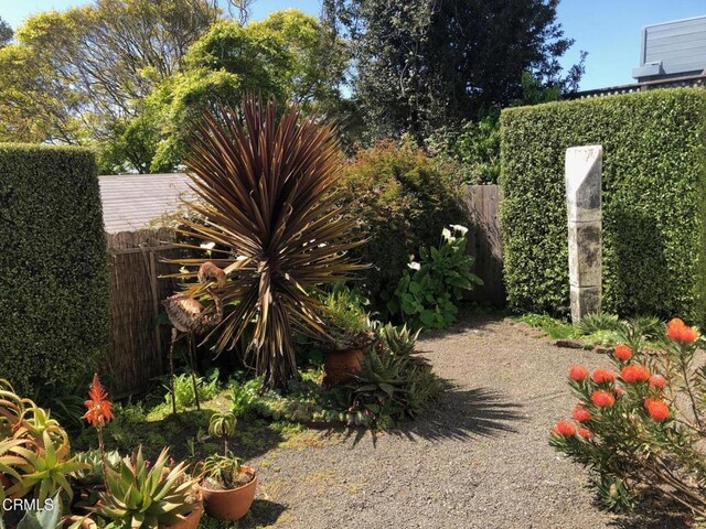 10481 Lansing St, Mendocino, CA 95460 - photo 23