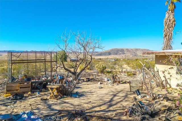 7037 Calapooya Way, Joshua Tree, CA 92252 - view of yard with a mountain view