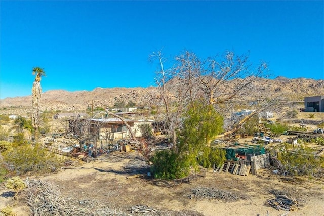 7037 Calapooya Way, Joshua Tree, CA 92252 - view of yard featuring a mountain view