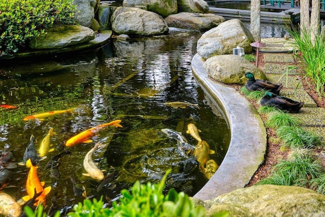 567 Gage Ln, San Diego, CA 92106 - exterior view of a garden pond