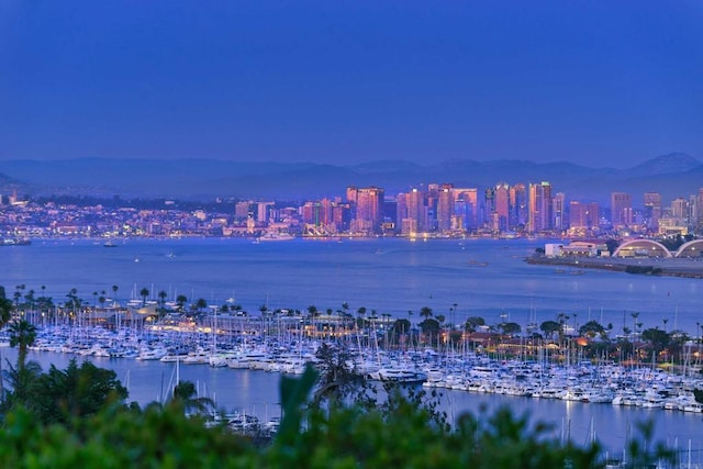 567 Gage Ln, San Diego, CA 92106 - water view featuring numerous boat docks and a view of city lights