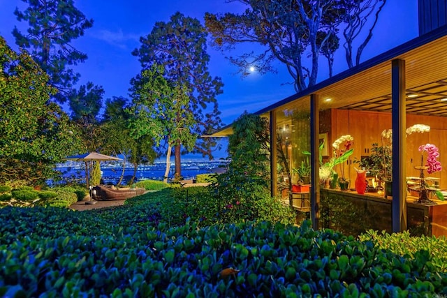 567 Gage Ln, San Diego, CA 92106 - view of yard at night