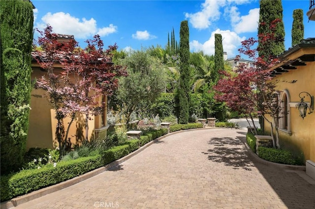 367 Monterey Pines Dr, Arcadia, CA 91006 - view of community with curved driveway