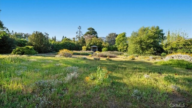 2304 Rosedale Curv, Upland, CA 91784 - view of nature