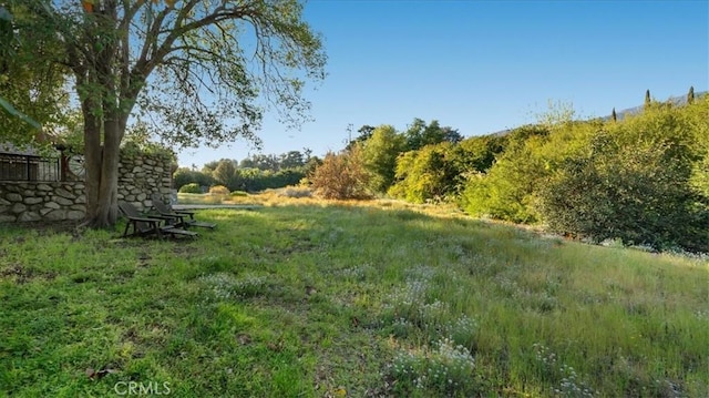 2304 Rosedale Curv, Upland, CA 91784 - view of yard