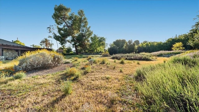 2304 Rosedale Curv, Upland, CA 91784 - view of nature