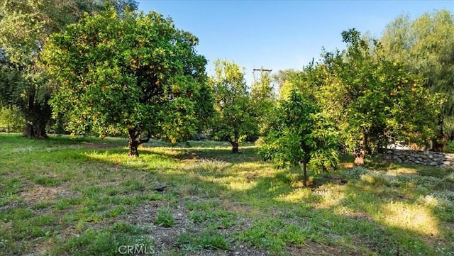 2304 Rosedale Curv, Upland, CA 91784 - view of undeveloped land