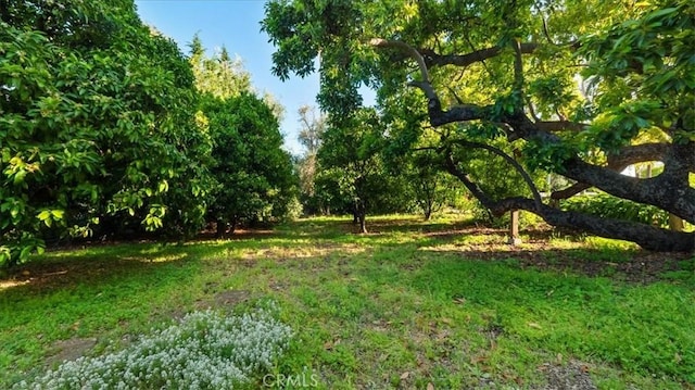 2304 Rosedale Curv, Upland, CA 91784 - view of nature