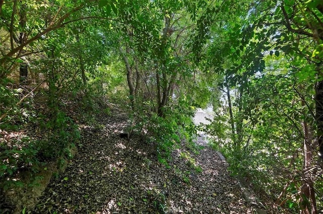 3079 Mojave Ct, Highland, CA 92346 - view of woods