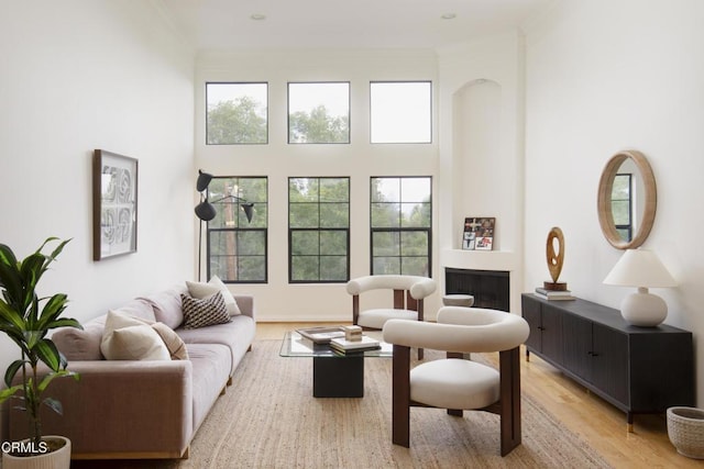 12603 Moorpark St Unit 303, Studio City, CA 91604 - living area featuring light wood-style floors, a fireplace, plenty of natural light, and a high ceiling