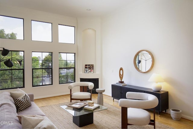 12603 Moorpark St Unit 303, Studio City, CA 91604 - living area featuring light wood finished floors, a fireplace, a towering ceiling, and baseboards