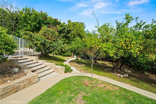 3336 Villa Mesa Rd, Pasadena, CA 91107 - surrounding community featuring stairway and a lawn