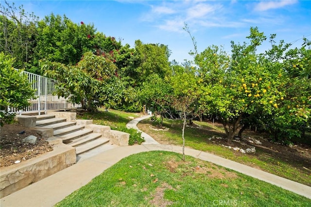 3336 Villa Mesa Rd, Pasadena, CA 91107 - surrounding community featuring stairs and a lawn