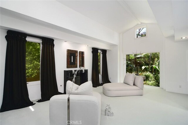 4219 Tarzana Estates Dr, Tarzana, CA 91356 - photo 8
