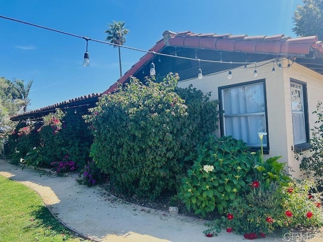 515 Cassou Rd, San Marcos, CA 92069 - photo 13