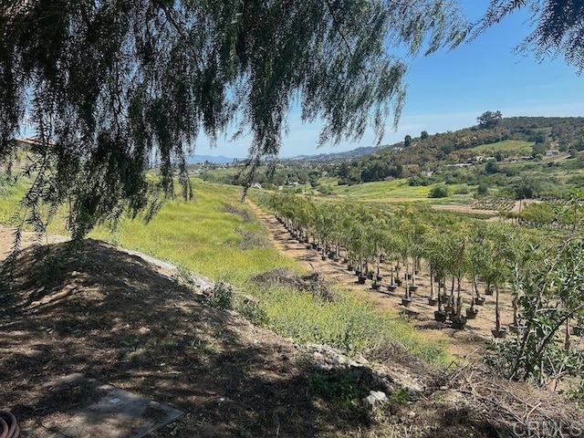 515 Cassou Rd, San Marcos, CA 92069 - photo 25