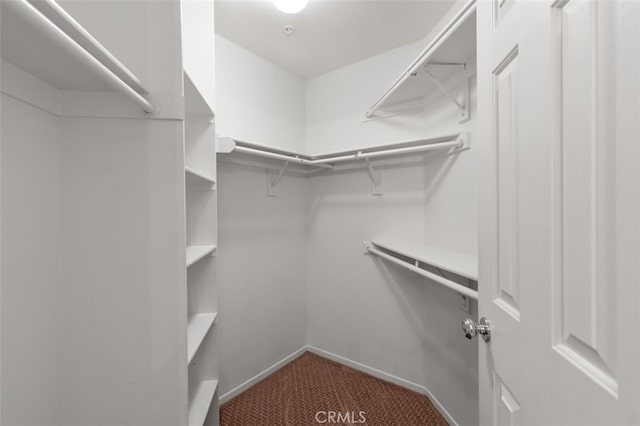 170 Valley View Ter, Mission Viejo, CA 92692 - walk in closet featuring dark colored carpet
