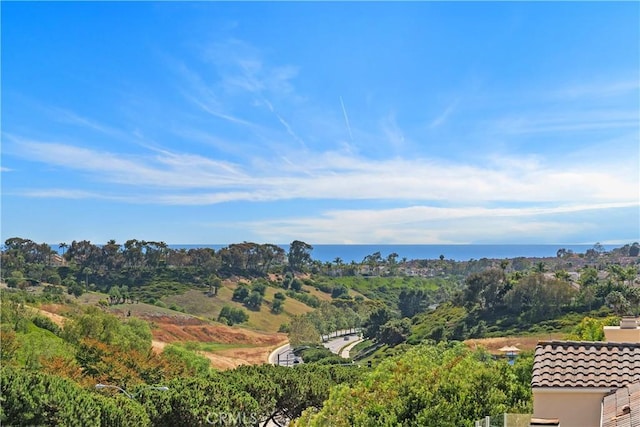 123 Costa Brava, Laguna Niguel, CA 92677 - drone / aerial view