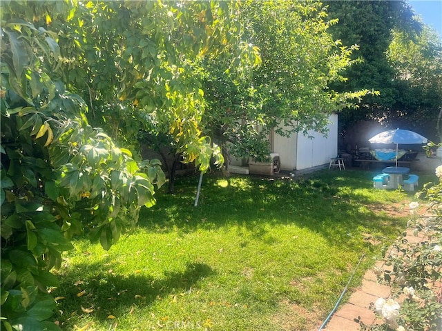 3352 Franklin Ave, Riverside, CA 92507 - view of green lawn featuring a storage shed and an outdoor structure