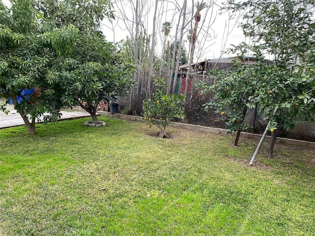 3352 Franklin Ave, Riverside, CA 92507 - view of yard