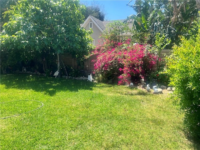 3352 Franklin Ave, Riverside, CA 92507 - view of green lawn