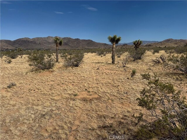 0 Japatul Rd, Apple Valley, CA 92307