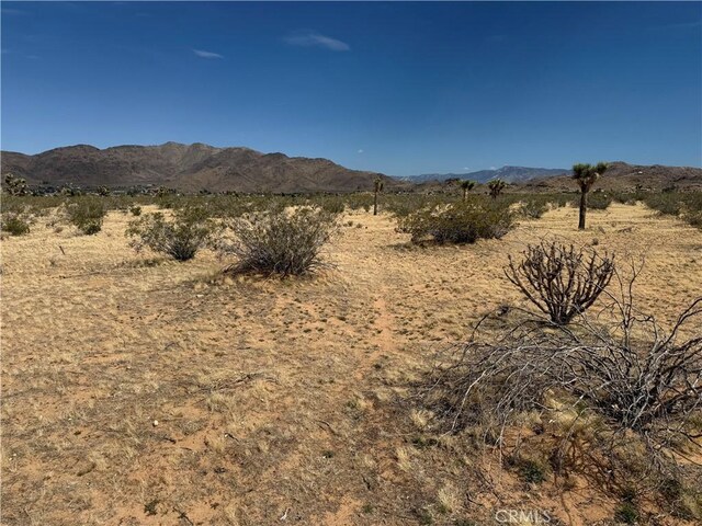 0 Japatul Rd, Apple Valley, CA 92307