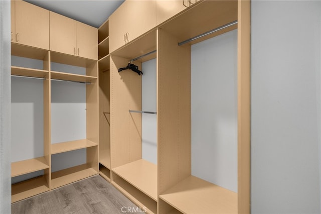 3170 E Painted Crescent St, Ontario, CA 91762 - walk in closet featuring light wood-type flooring