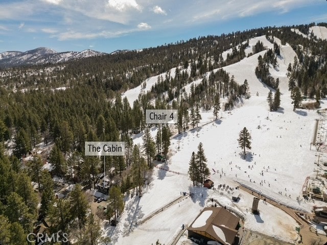 41935 Switzerland Dr Unit 125, Big Bear Lake, CA 92315 - photo 39