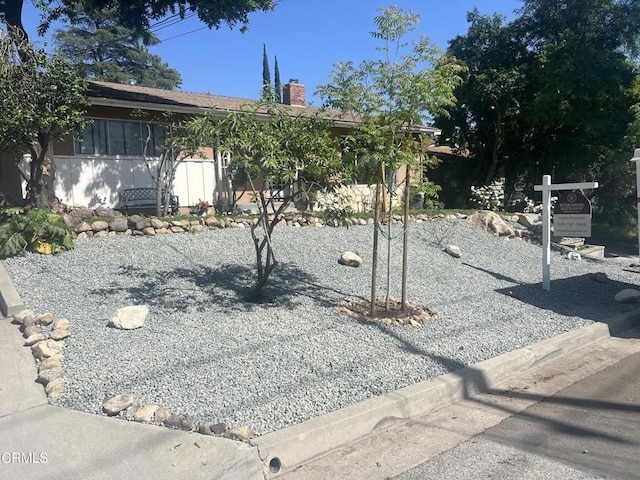 view of yard