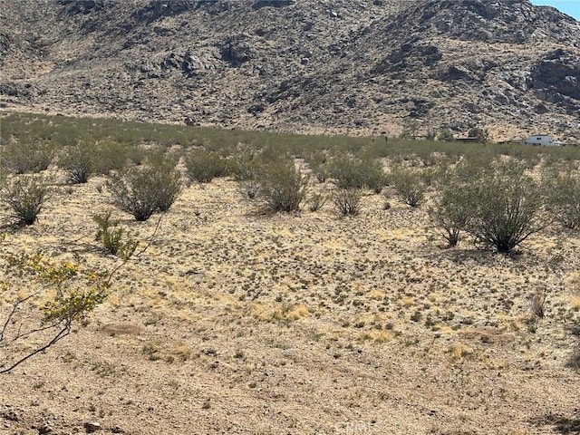 0 Holmes, Lucerne Valley, CA 92356 - photo 7