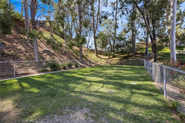 314 S Vista Del Canon, Anaheim Hills, CA 92807 - view of yard