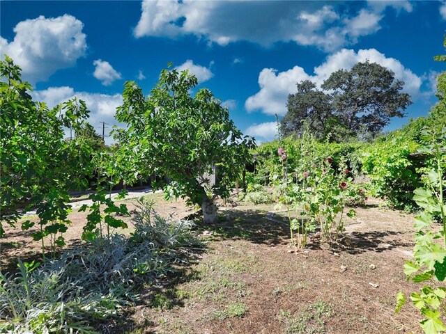 14405 Ridge Rd, Clearlake, CA 95422 - photo 16