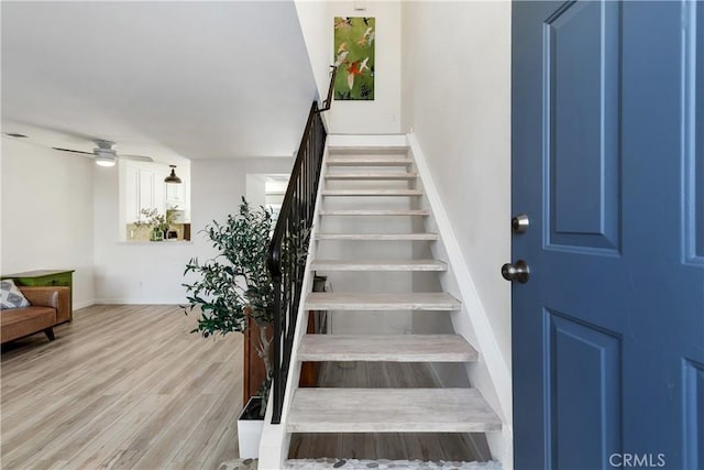 842 Bluebell Ct, Carlsbad, CA 92011 - photo 10