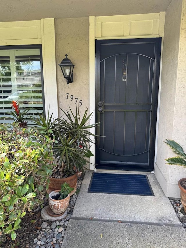 7975 Playmor Ter, San Diego, CA 92122 - view of exterior entry with stucco siding