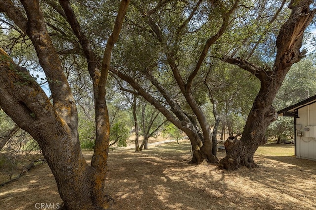 42490 Ranger Circle Way, Coarsegold, CA 93614 - view of yard