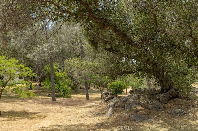 42490 Ranger Circle Way, Coarsegold, CA 93614 - view of local wilderness